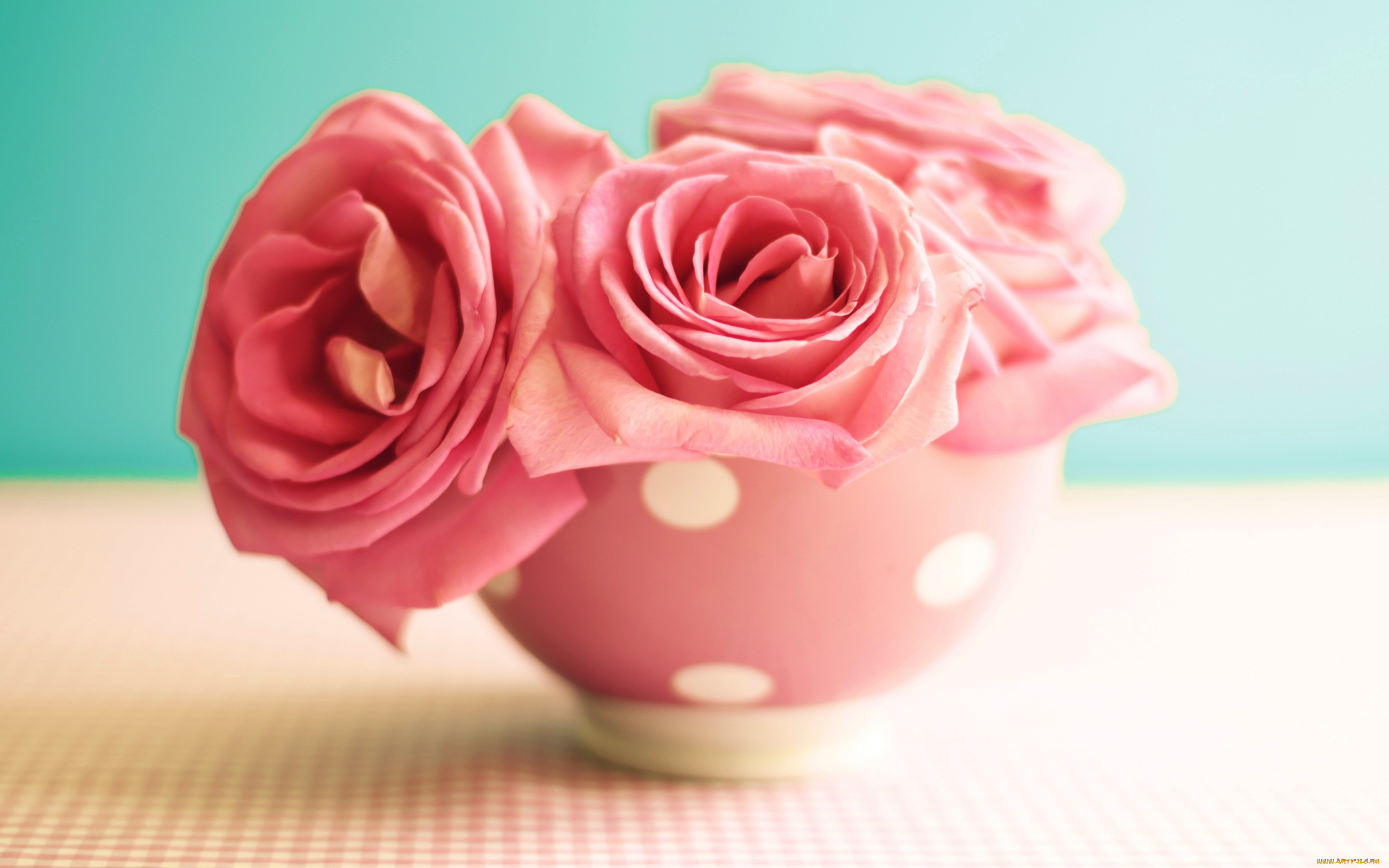 , , vintage, roses, flowers, pink, , , 